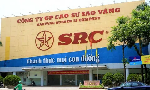 Cao su Sao Vàng (SRC) chuyển nhượng hơn 21ha đất khu công nghiệp Châu Sơn